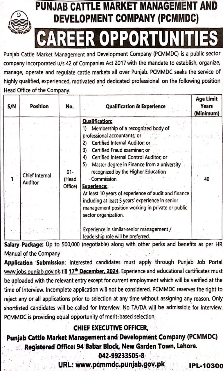 Chief Internal Auditor